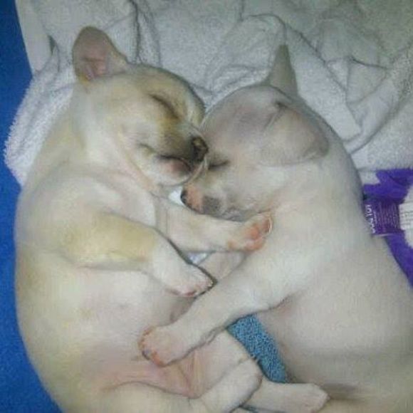 Meet your Posher, Evette stitch - Picture 1 of 1